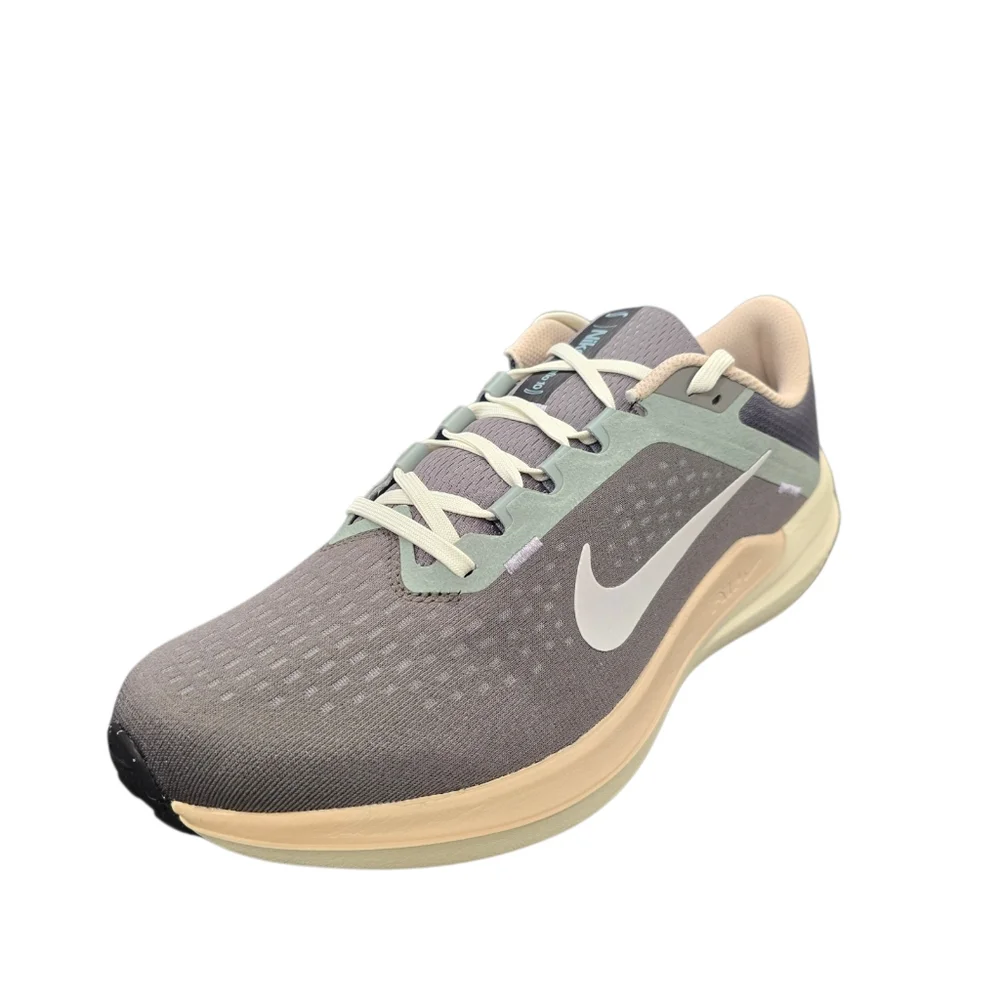 Nike Men's Air Winflo 10 FN7499-029 Running Shoes Flat Pewter Photon Dust